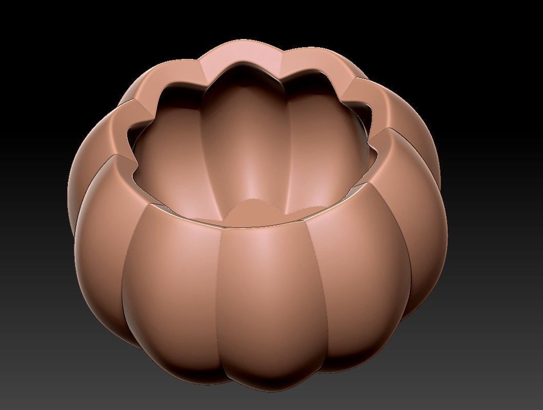 Flower Pot minimal modern decor 3D print model_61