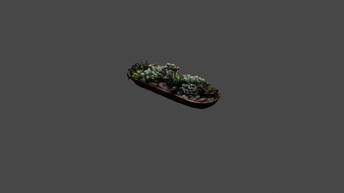 3D Succulent Decorative Piece 3D model