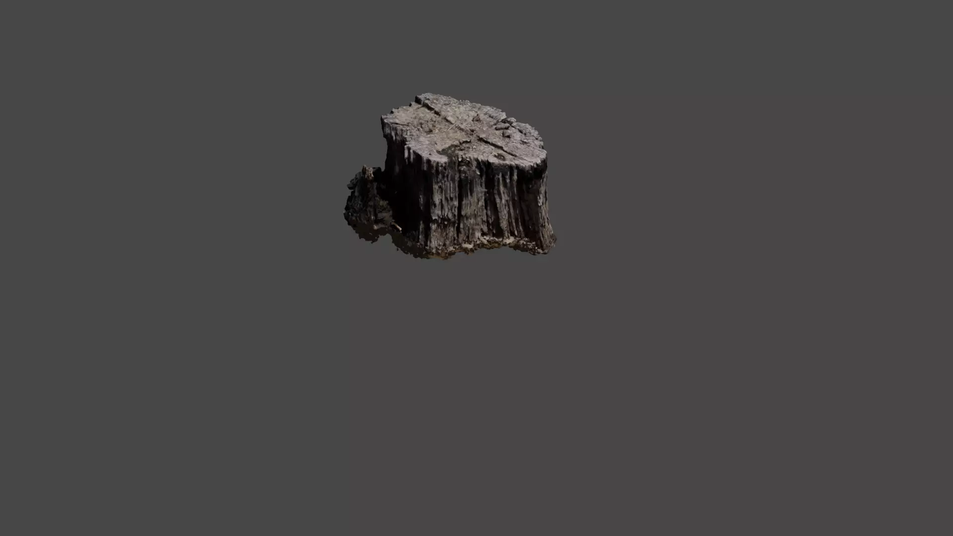Tree Stump Nature Piece 3D model_0