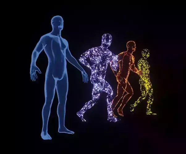 Male Body Xray 3D model