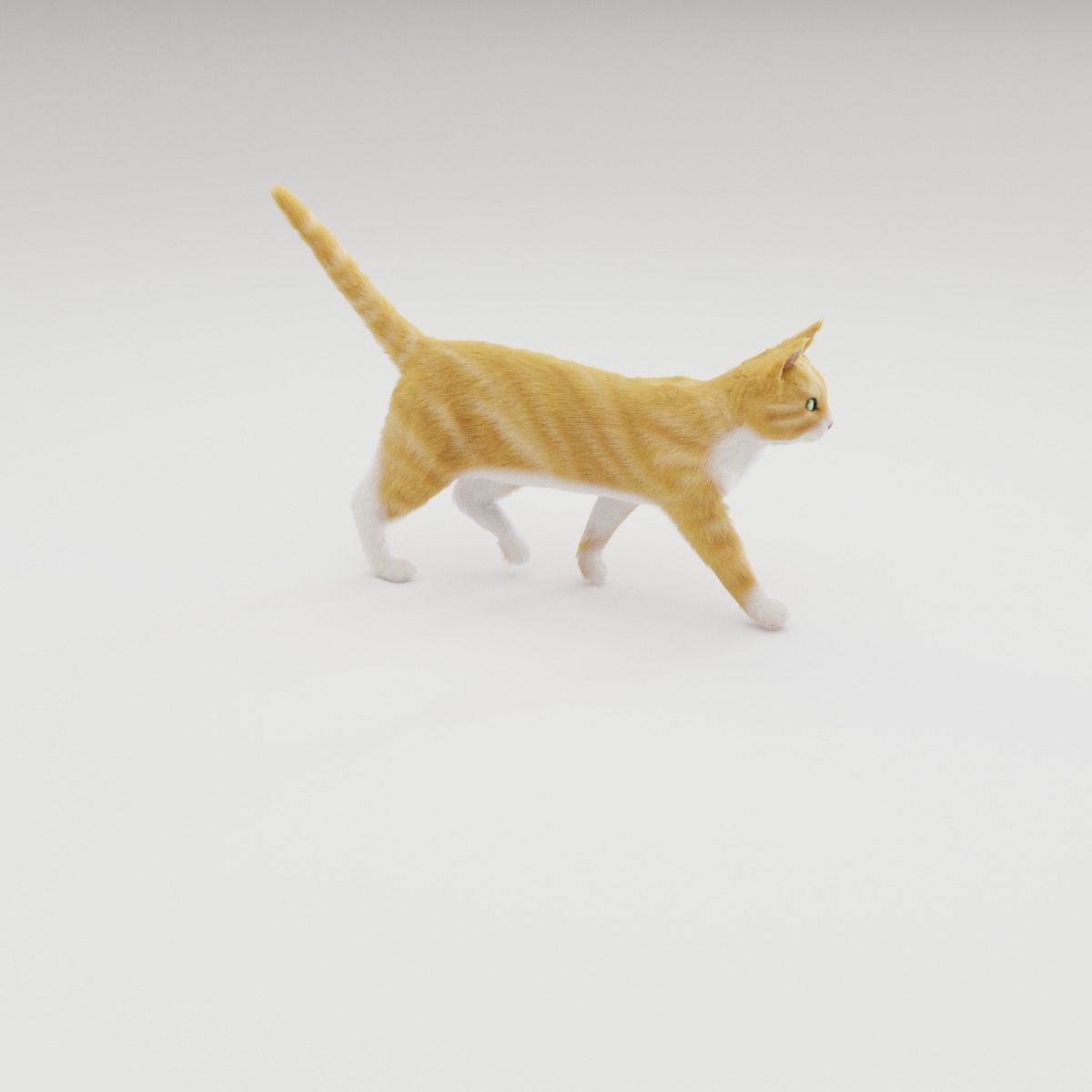 Realistic Cat Rigged 3D model_15