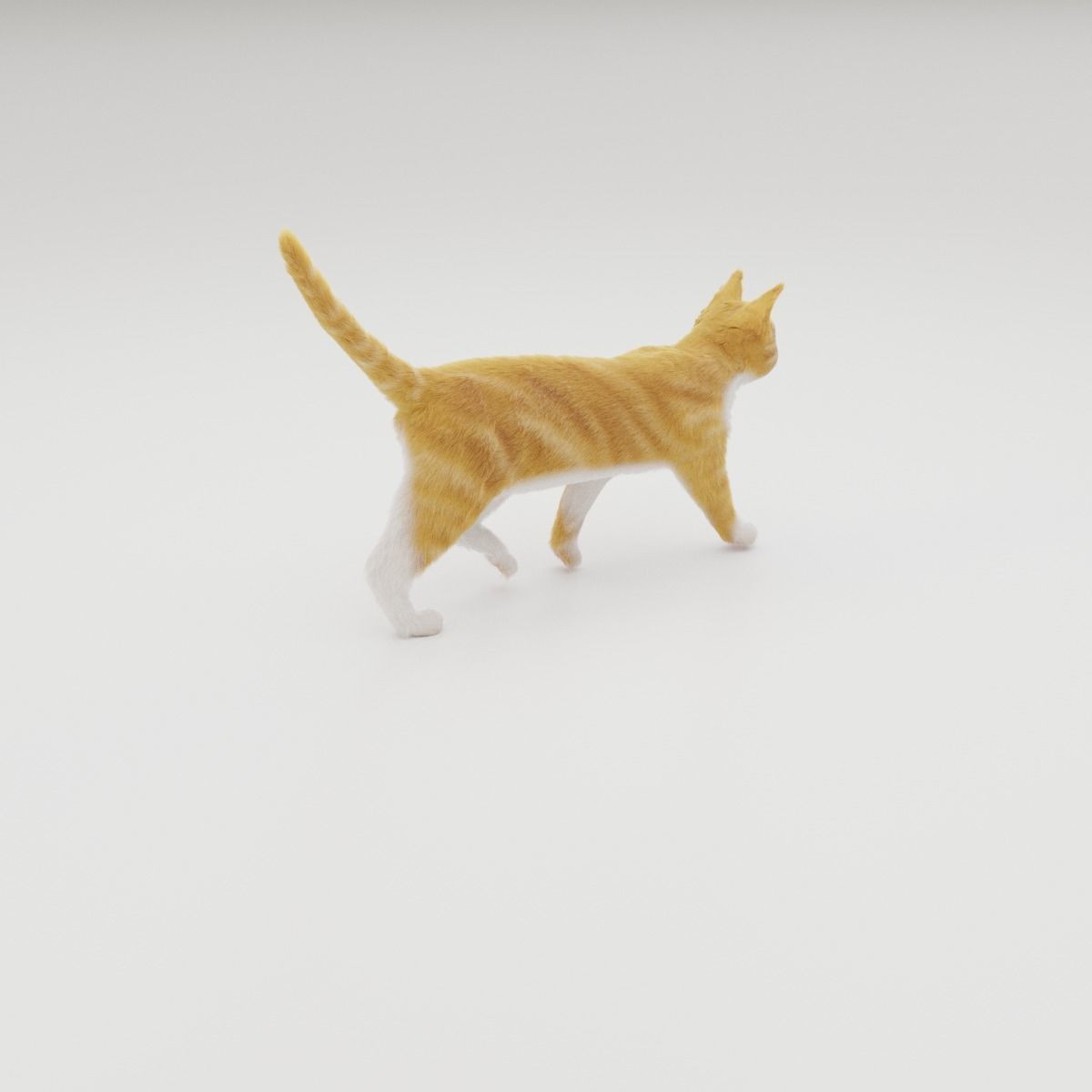 Realistic Cat Rigged 3D model_41