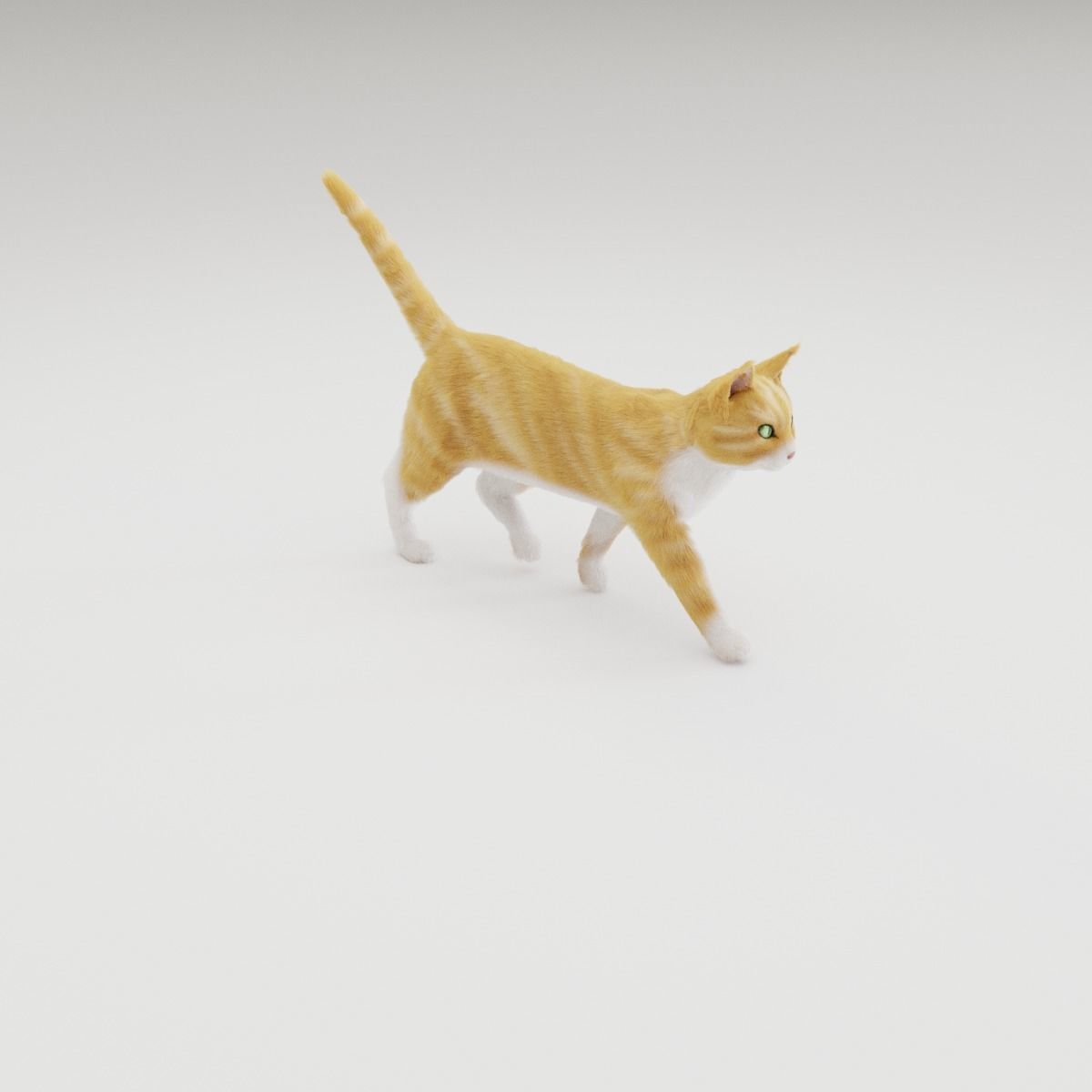 Realistic Cat Rigged 3D model_17