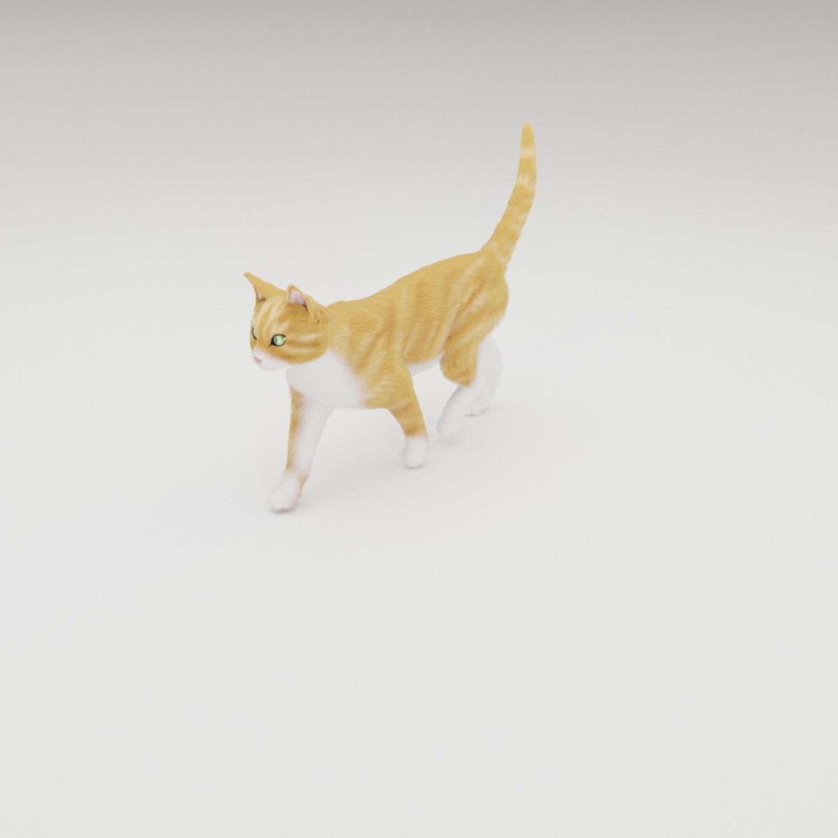 Realistic Cat Rigged 3D model_24