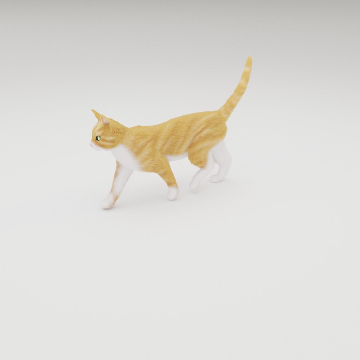Realistic Cat Rigged 3D model_26