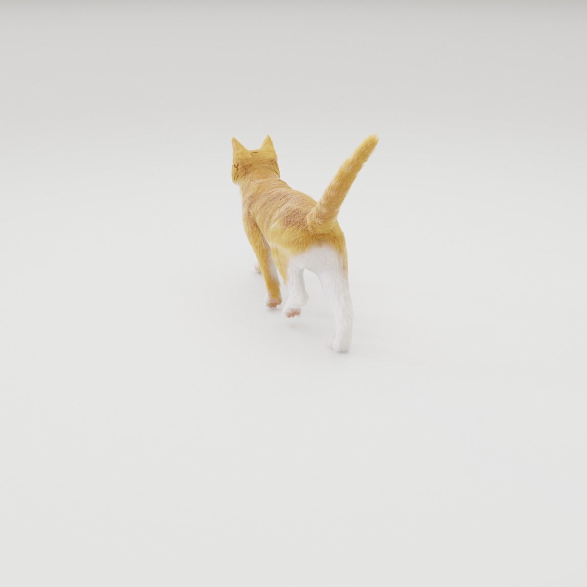 Realistic Cat Rigged 3D model_37