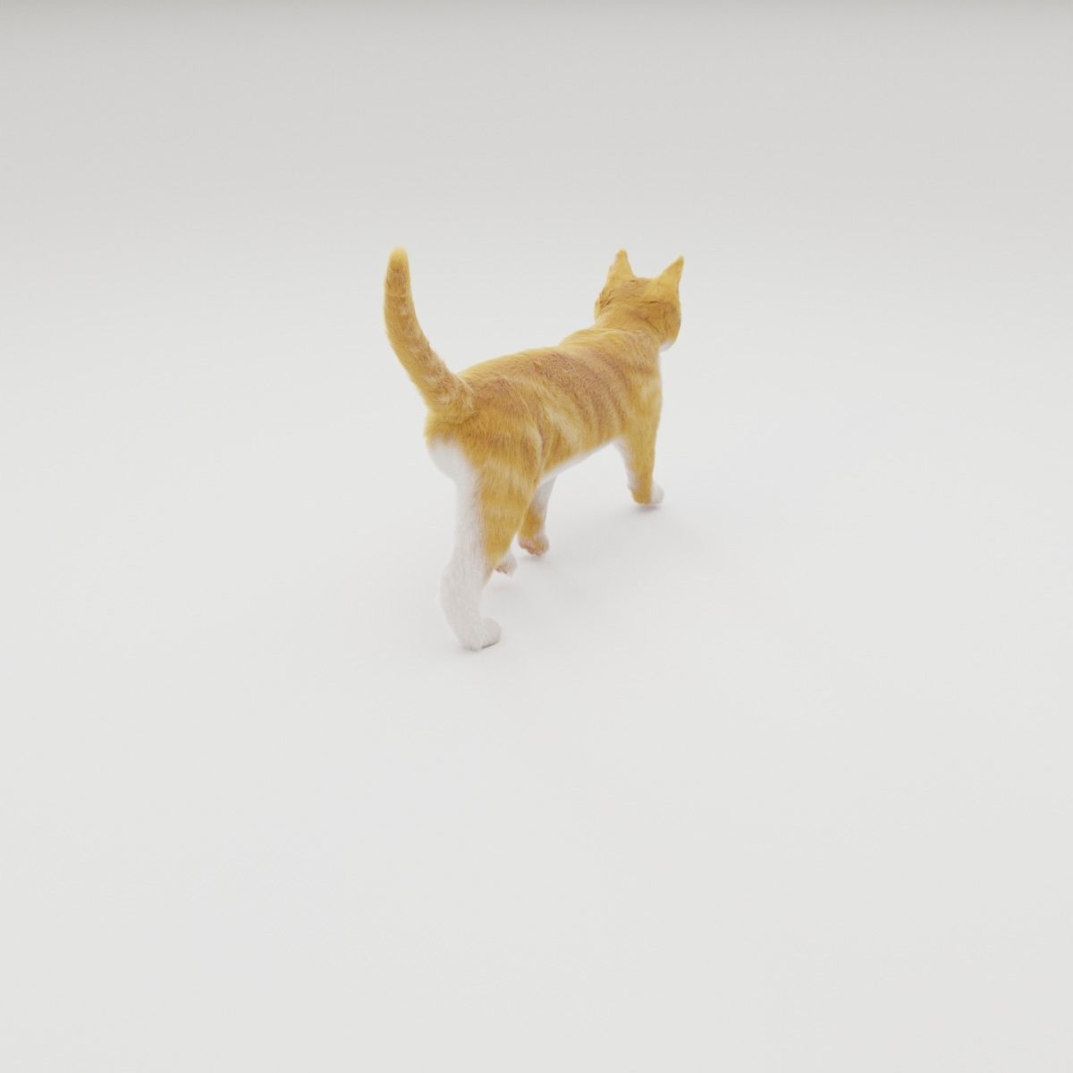 Realistic Cat Rigged 3D model_22