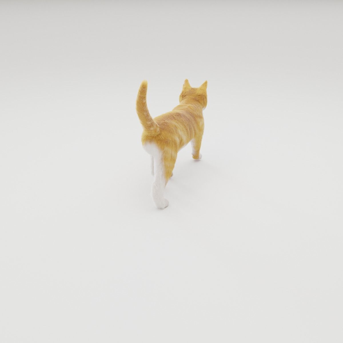 Realistic Cat Rigged 3D model_14