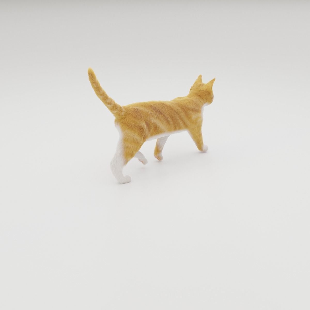 Realistic Cat Rigged 3D model_40