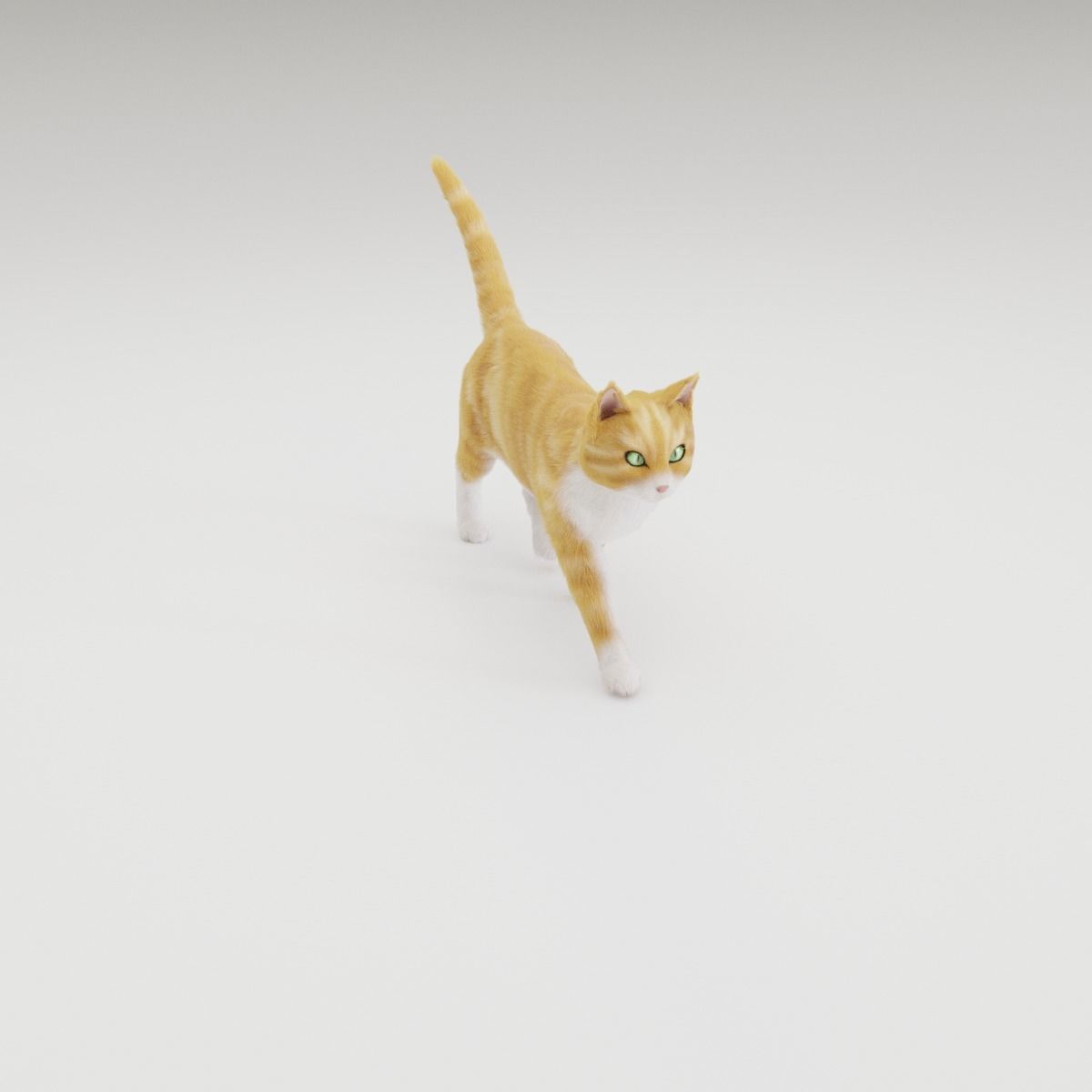 Realistic Cat Rigged 3D model_11
