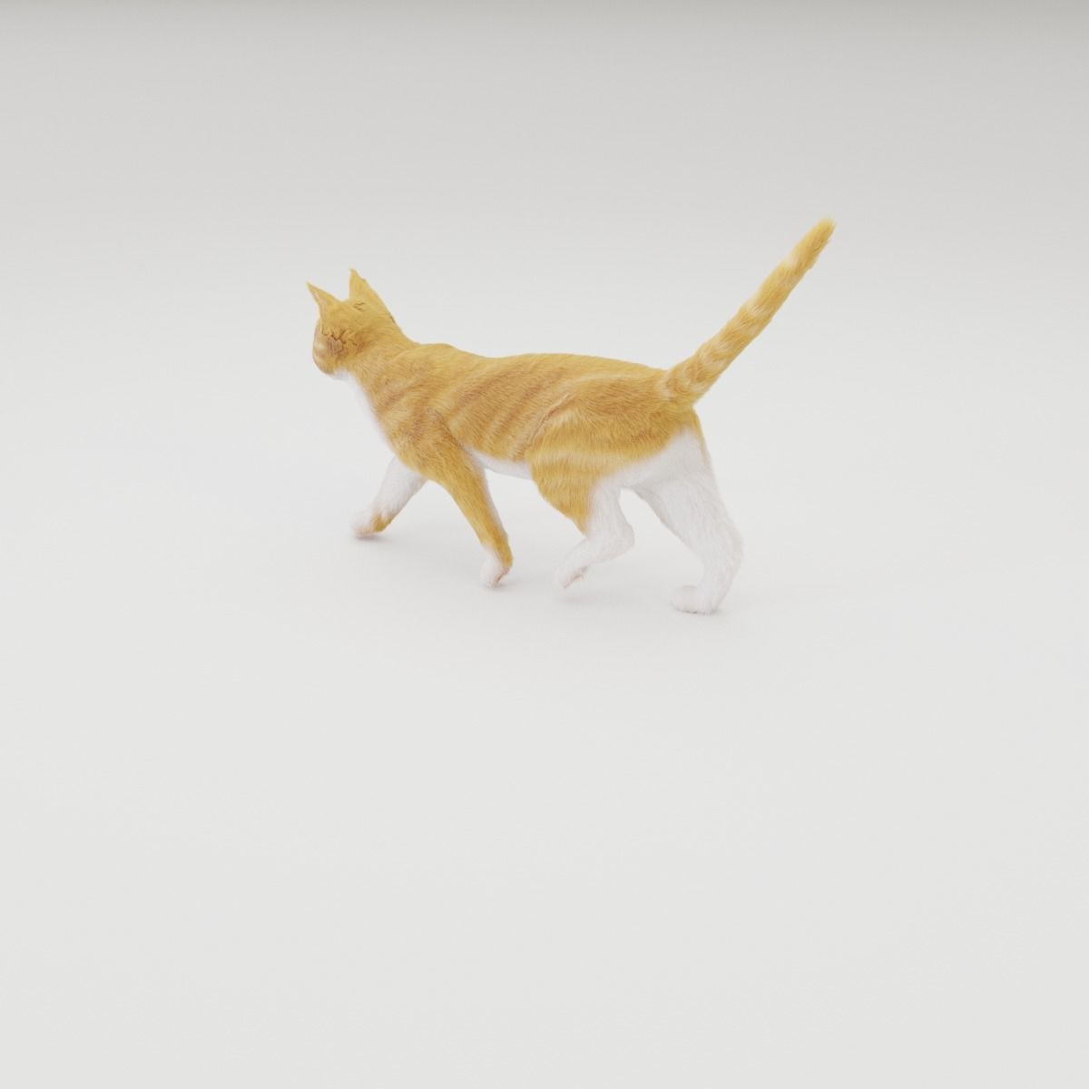 Realistic Cat Rigged 3D model_32