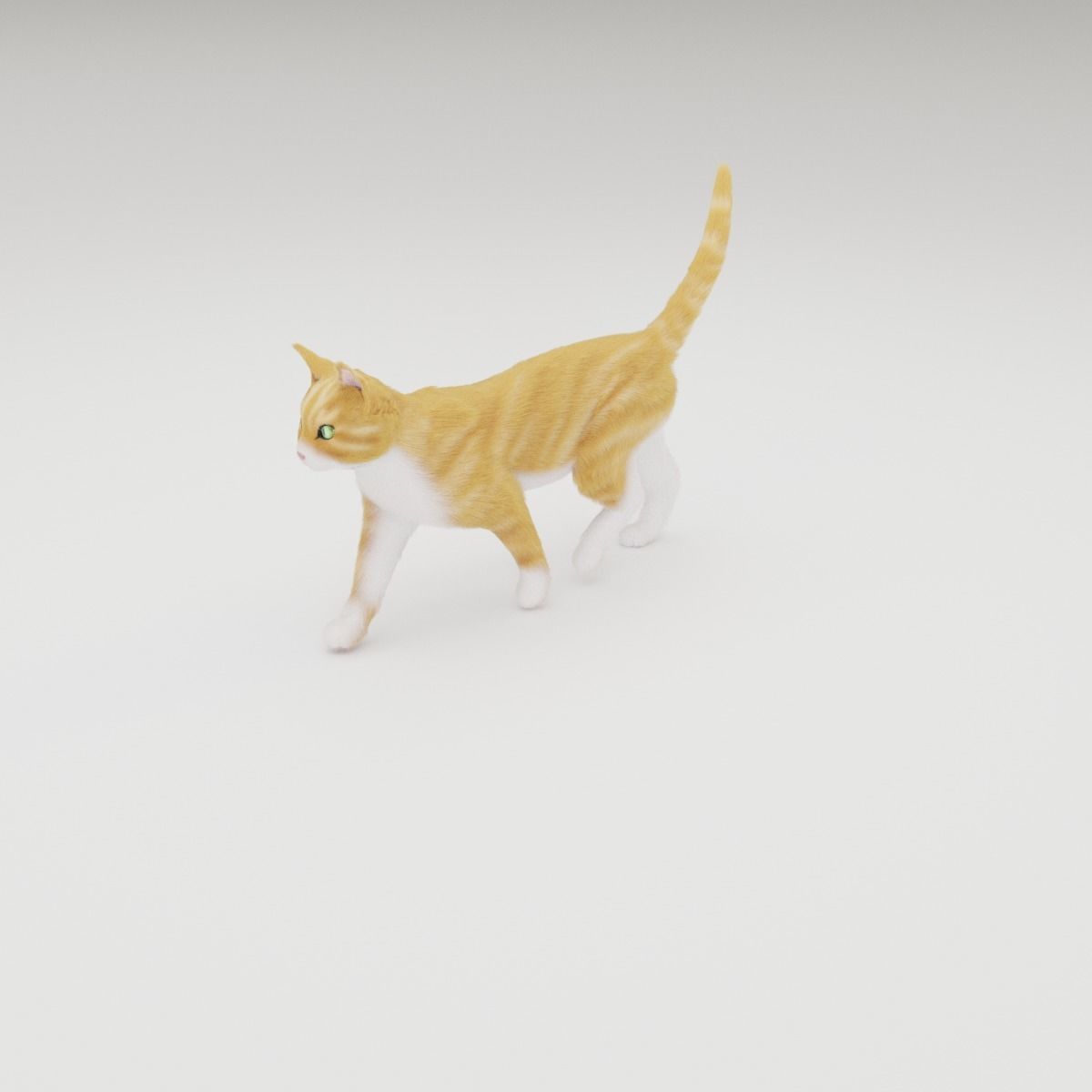 Realistic Cat Rigged 3D model_25
