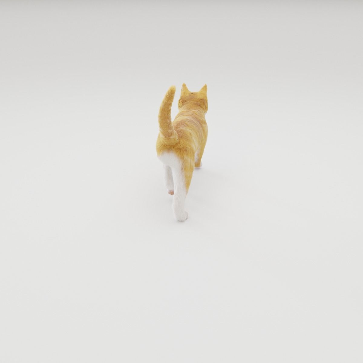 Realistic Cat Rigged 3D model_12