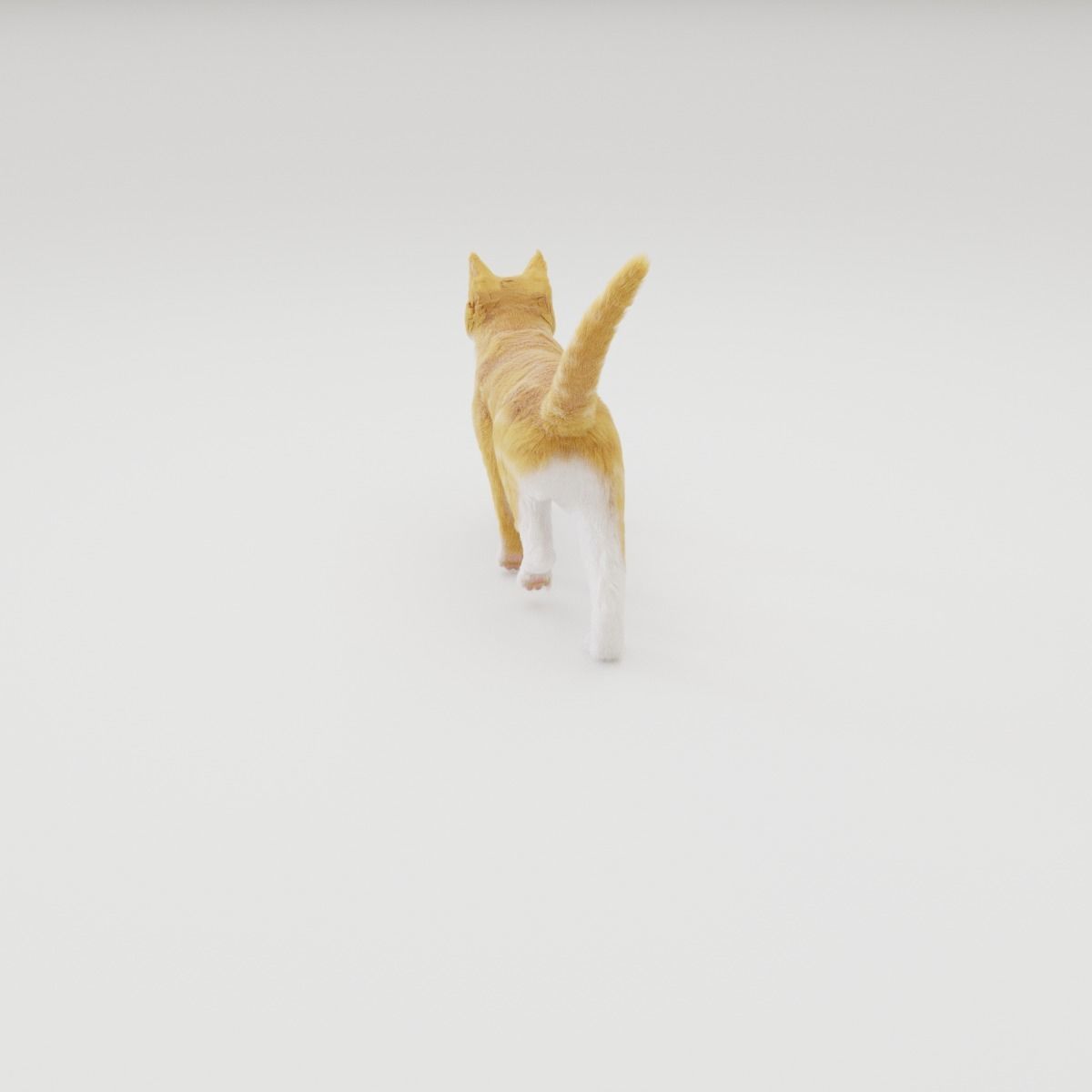 Realistic Cat Rigged 3D model_38
