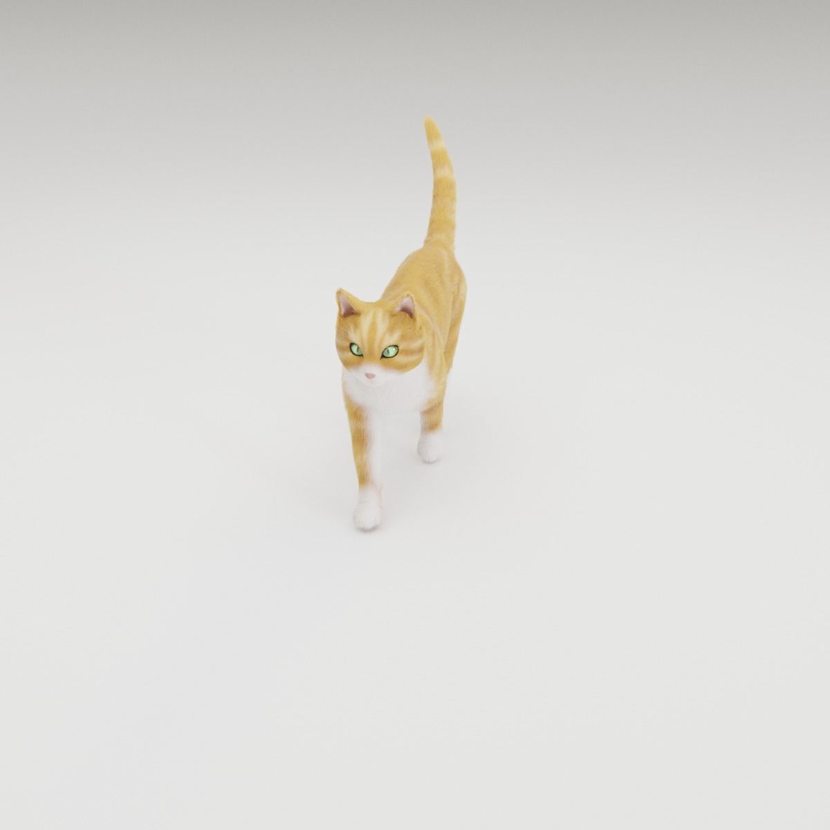 Realistic Cat Rigged 3D model_21