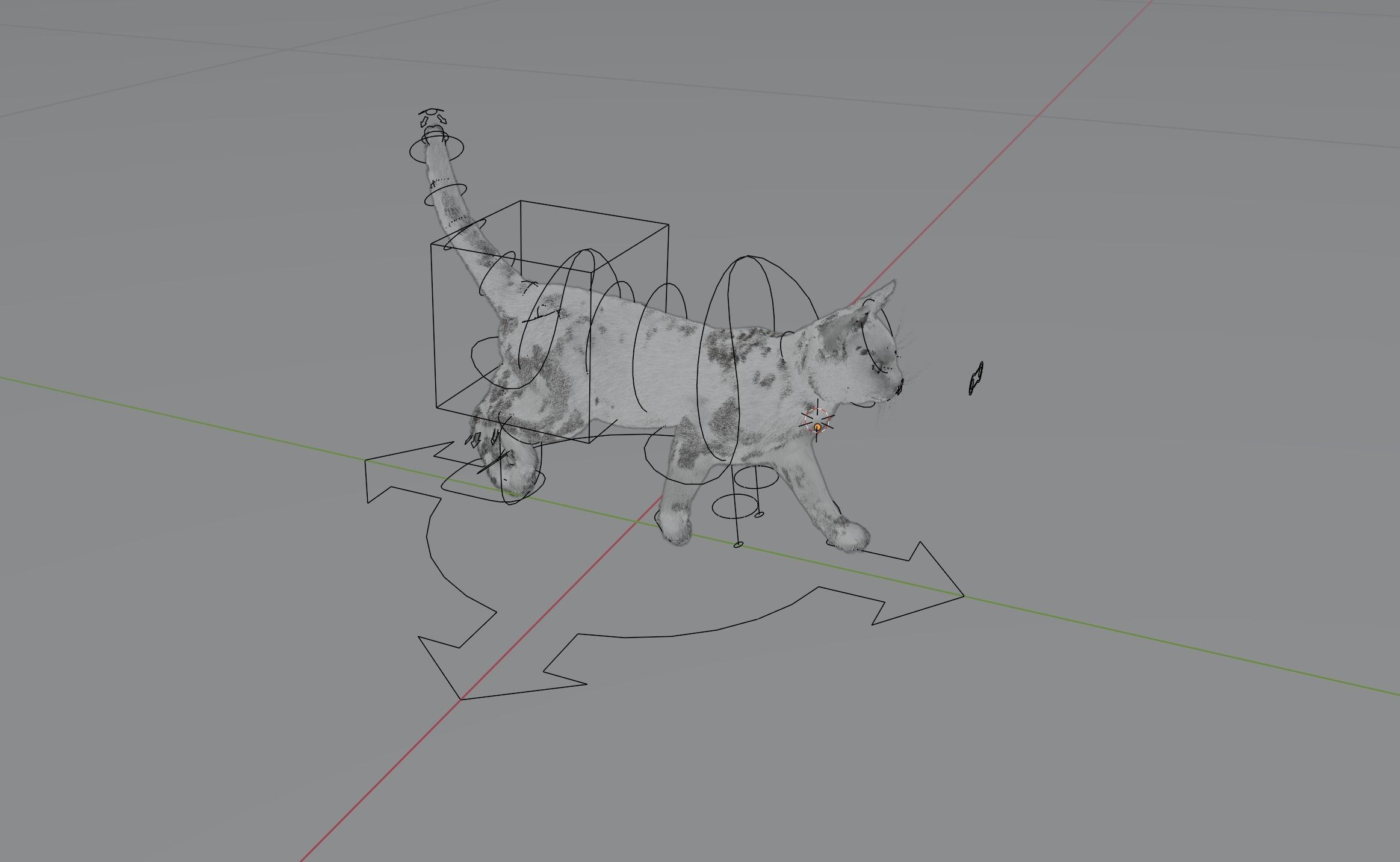 Realistic Cat Rigged 3D model_6