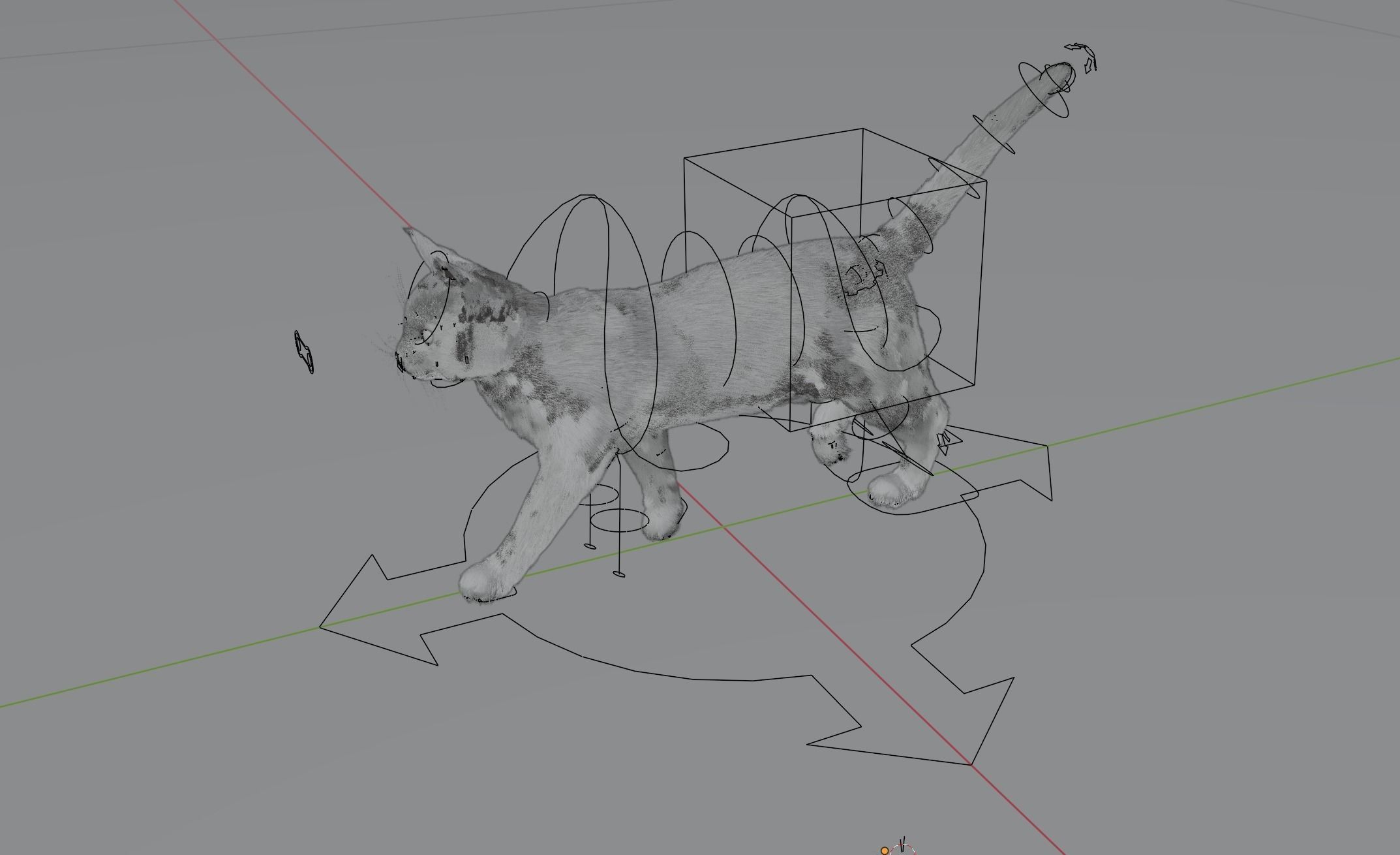 Realistic Cat Rigged 3D model_7