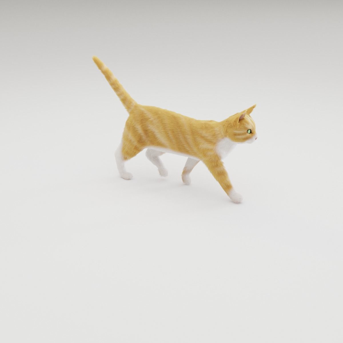 Realistic Cat Rigged 3D model_16