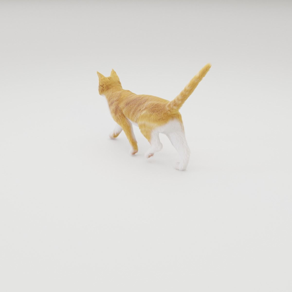Realistic Cat Rigged 3D model_35