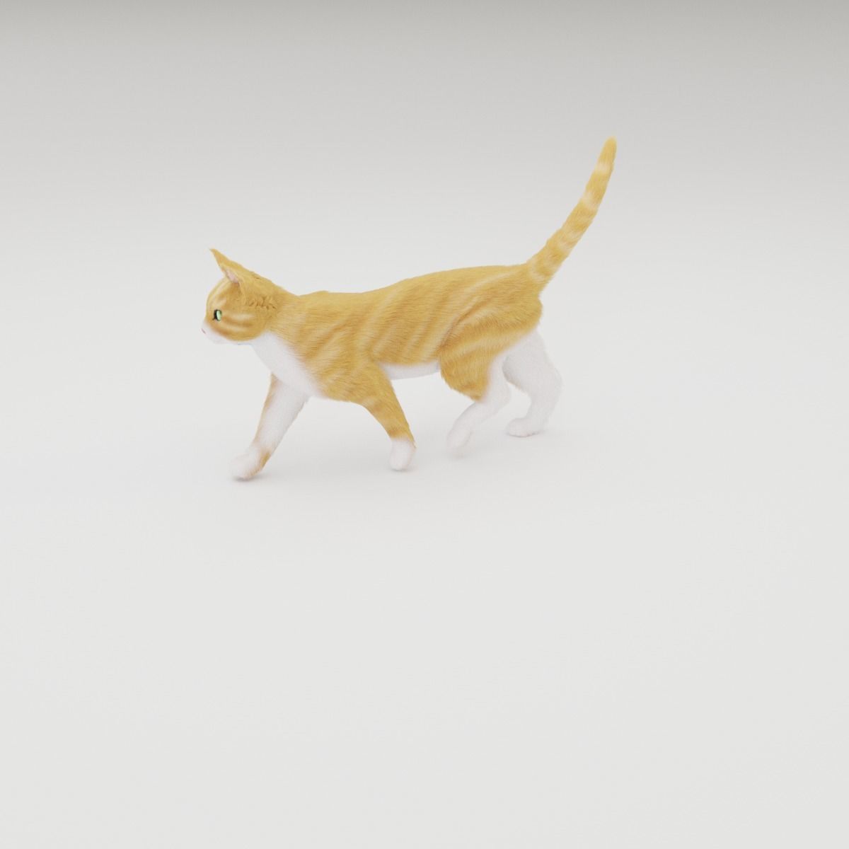 Realistic Cat Rigged 3D model_27