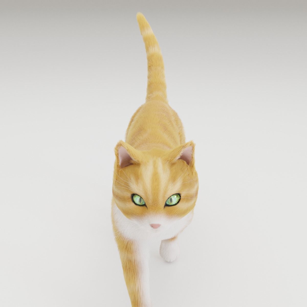 Realistic Cat Rigged 3D model_13