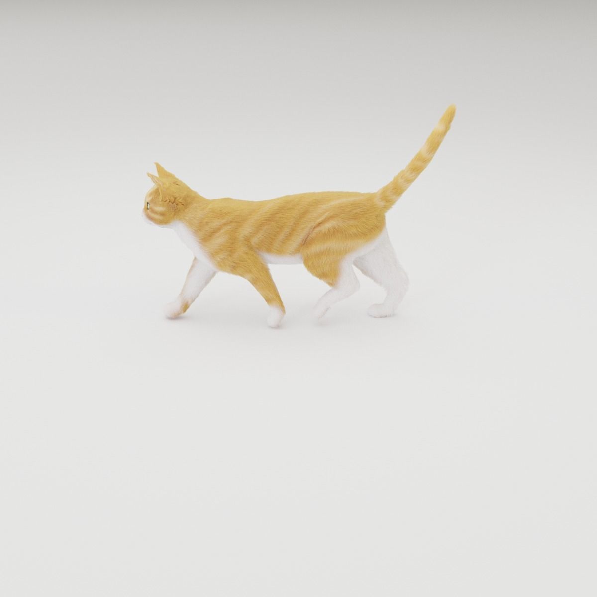 Realistic Cat Rigged 3D model_29