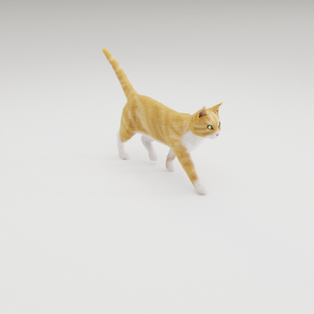 Realistic Cat Rigged 3D model_18