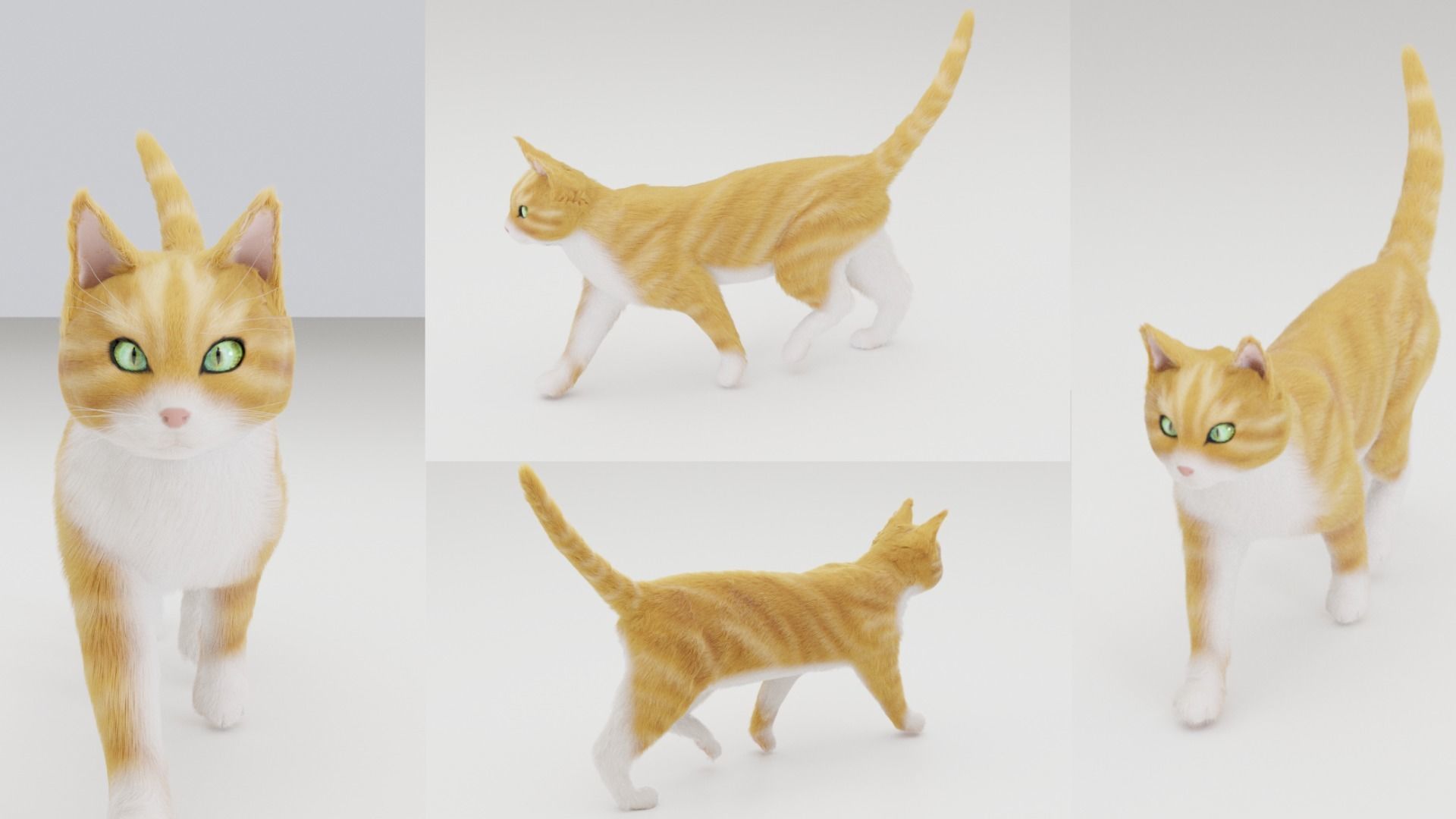Realistic Cat Rigged 3D model_3