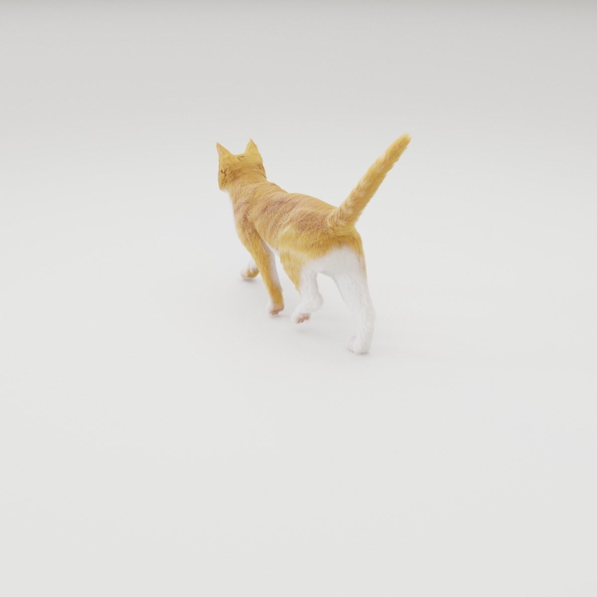 Realistic Cat Rigged 3D model_36
