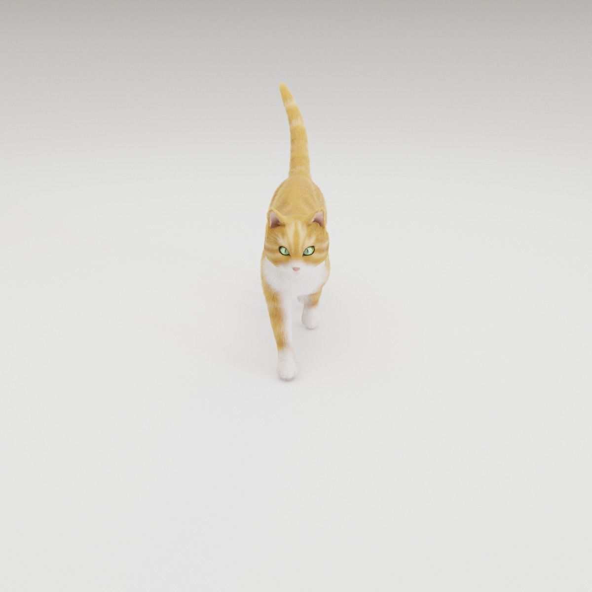 Realistic Cat Rigged 3D model_20