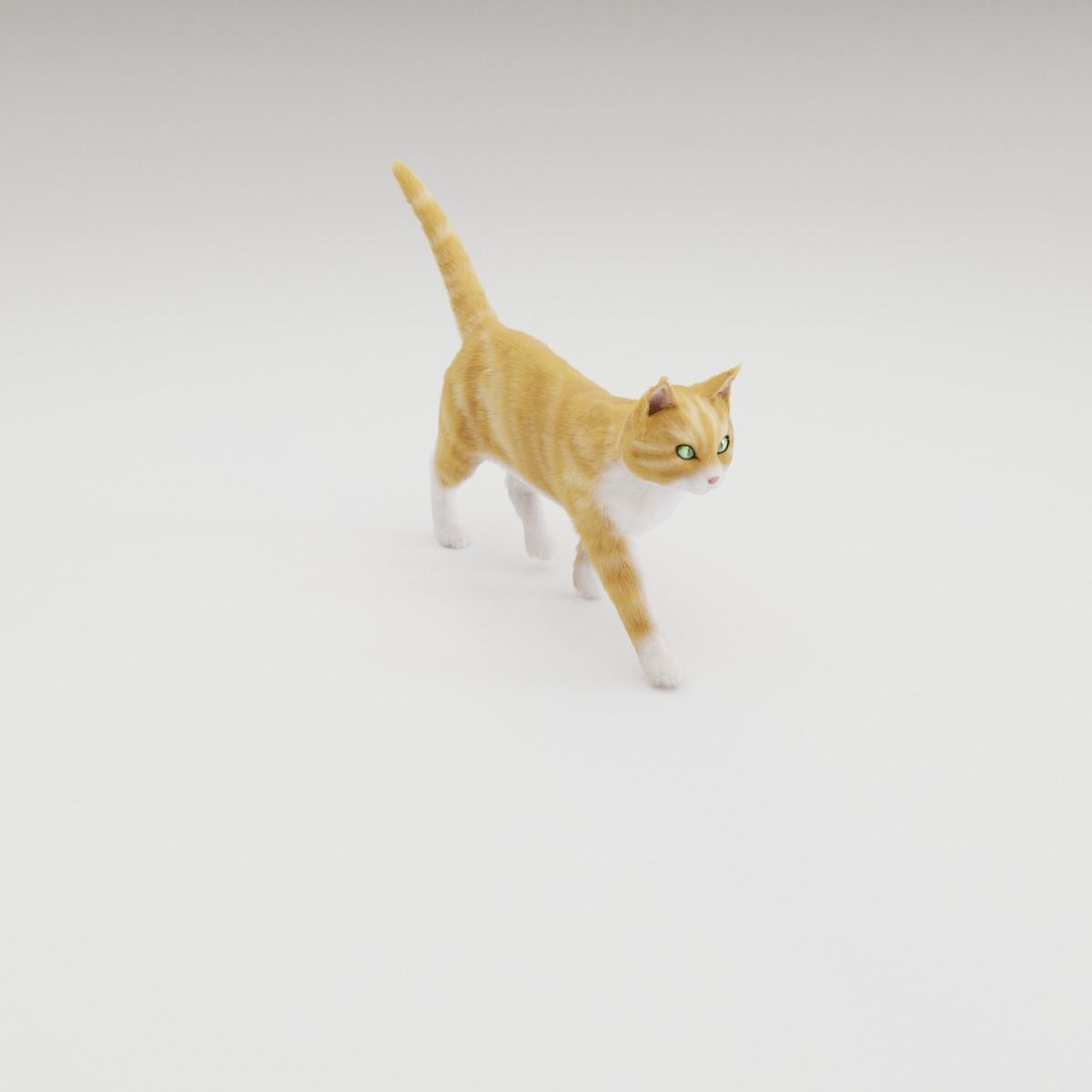 Realistic Cat Rigged 3D model_5