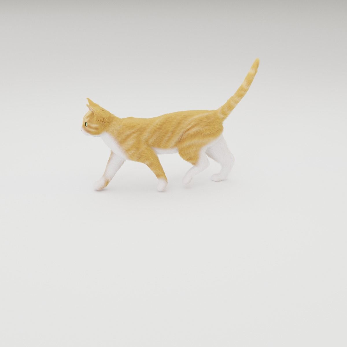 Realistic Cat Rigged 3D model_28