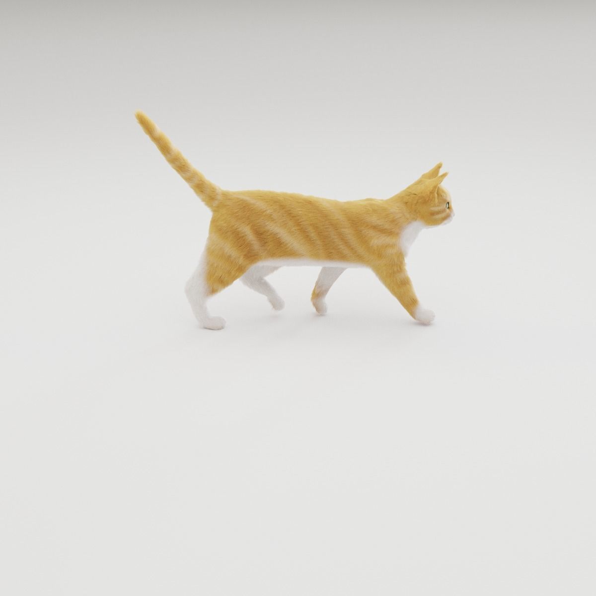 Realistic Cat Rigged 3D model_44