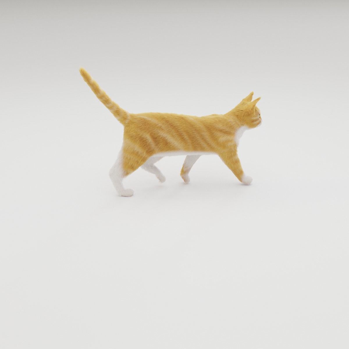 Realistic Cat Rigged 3D model_43