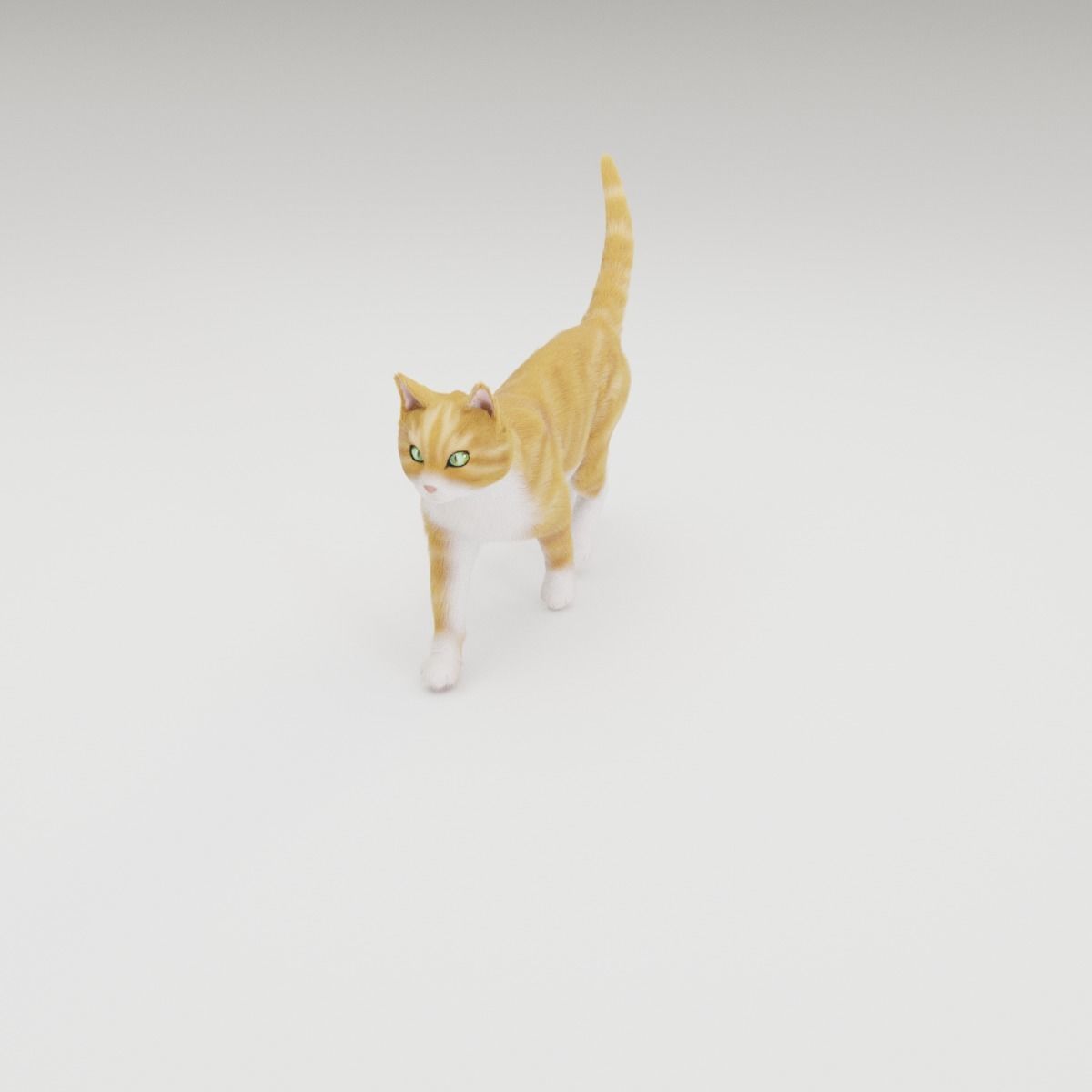 Realistic Cat Rigged 3D model_4