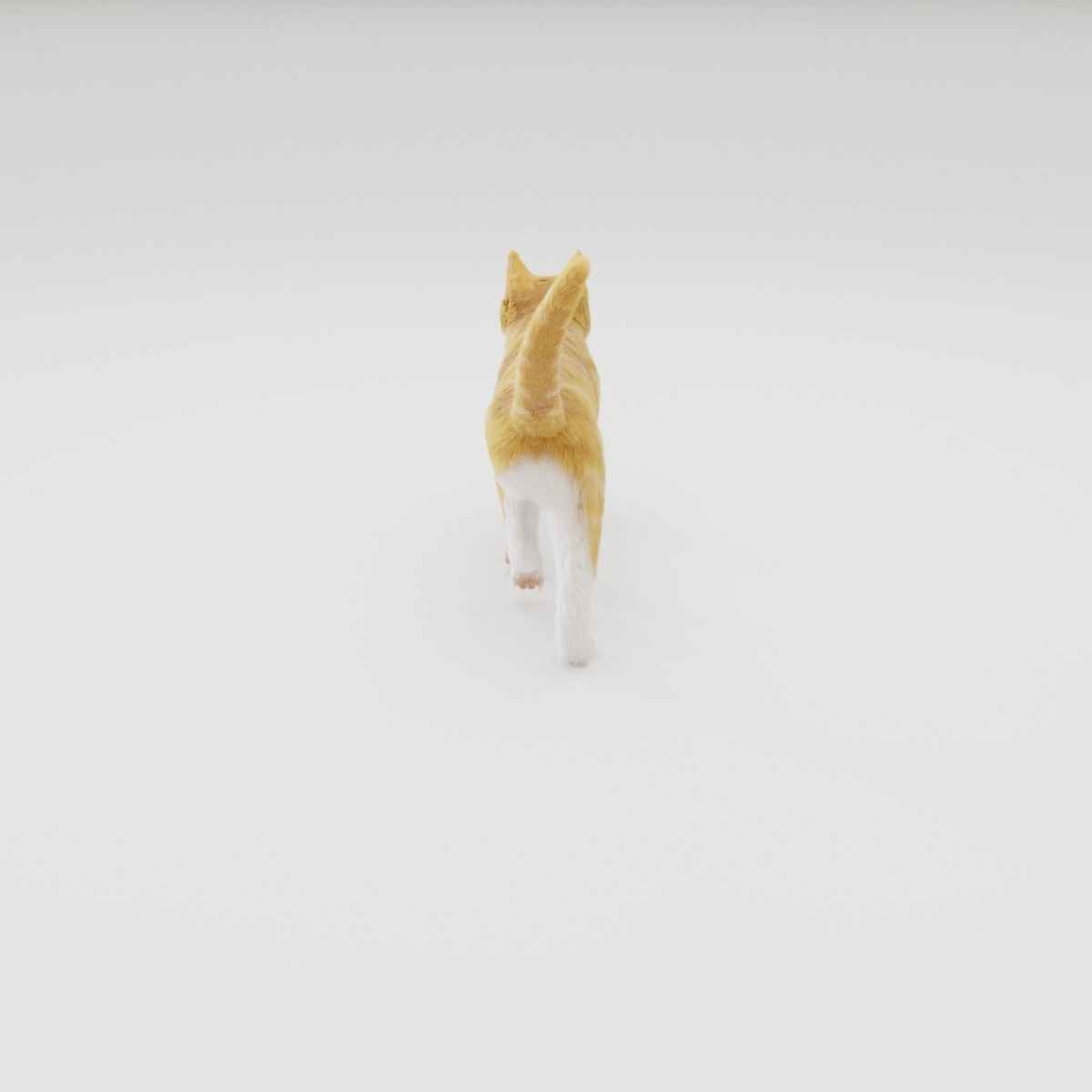 Realistic Cat Rigged 3D model_39