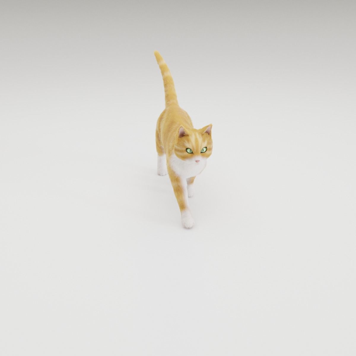Realistic Cat Rigged 3D model_19