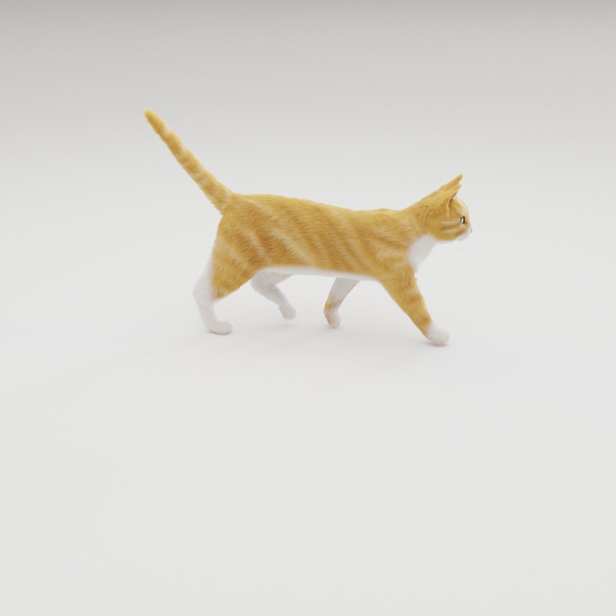 Realistic Cat Rigged 3D model_8