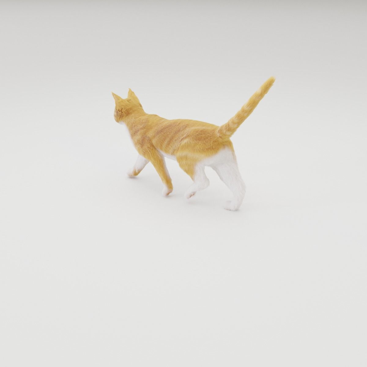 Realistic Cat Rigged 3D model_34