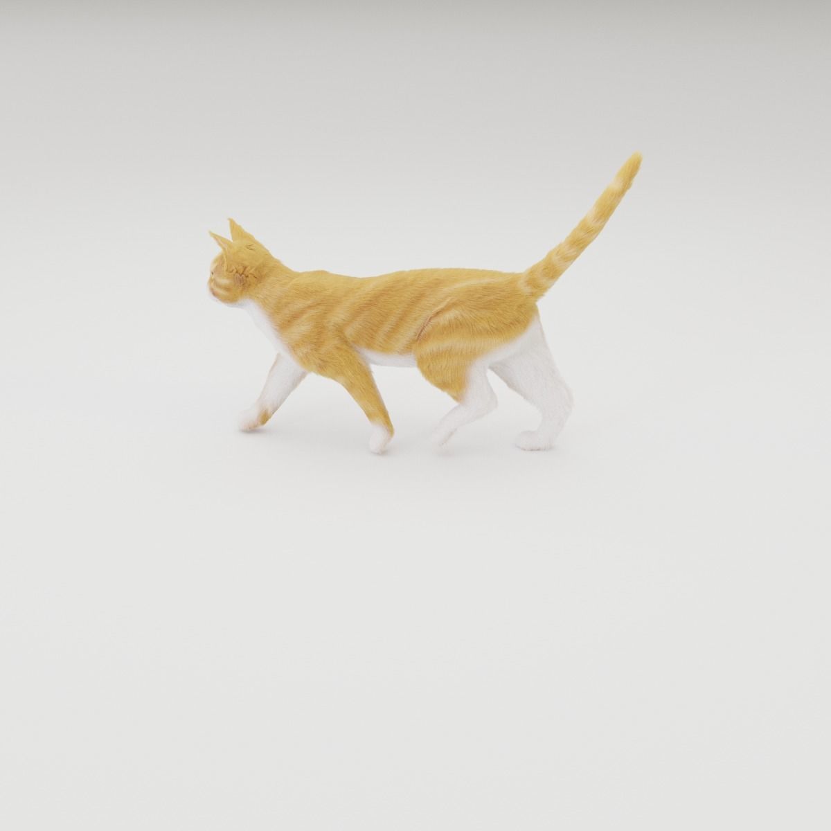 Realistic Cat Rigged 3D model_30