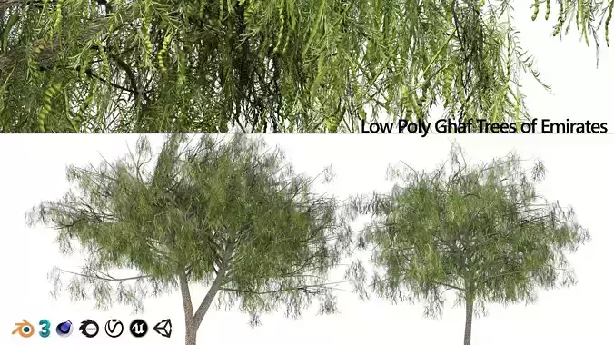 low poly ghaf trees of Emirates Low-poly 3D model