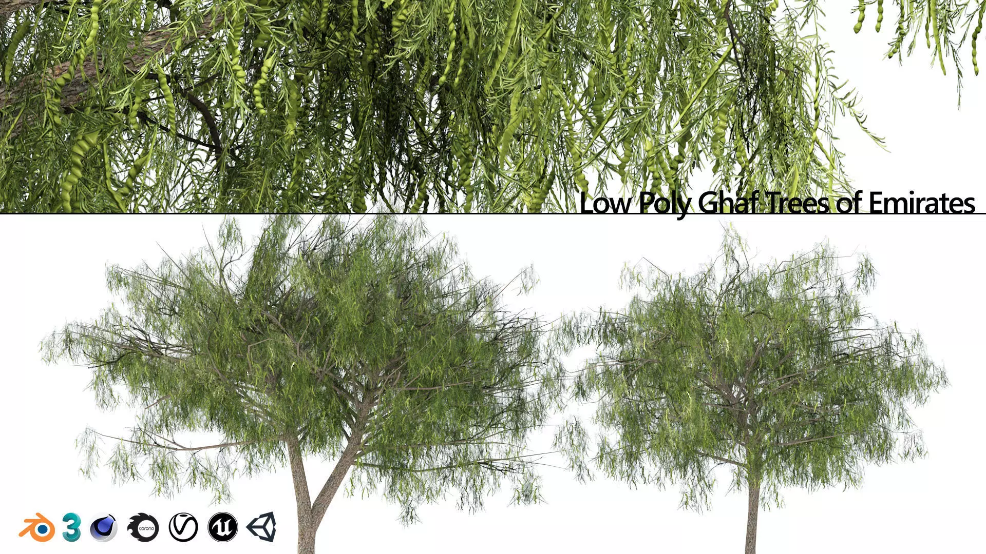 low poly ghaf trees of Emirates Low-poly 3D model_0