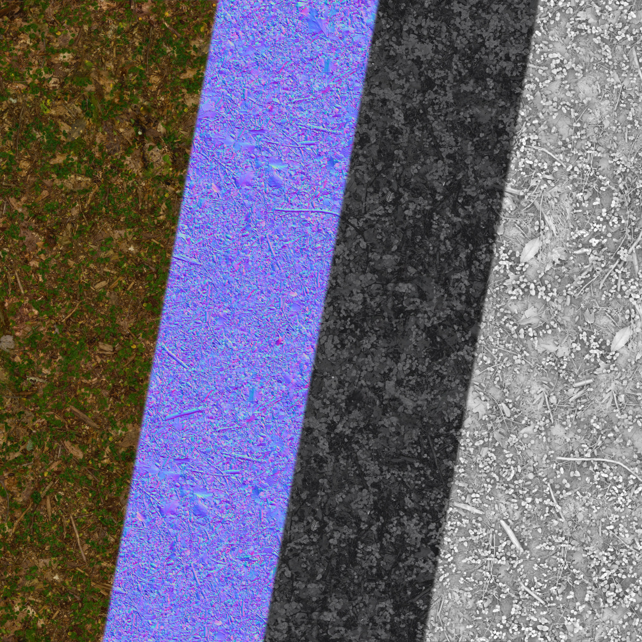 Forest Ivy Ground 01 - Free 4K Material Texture_5