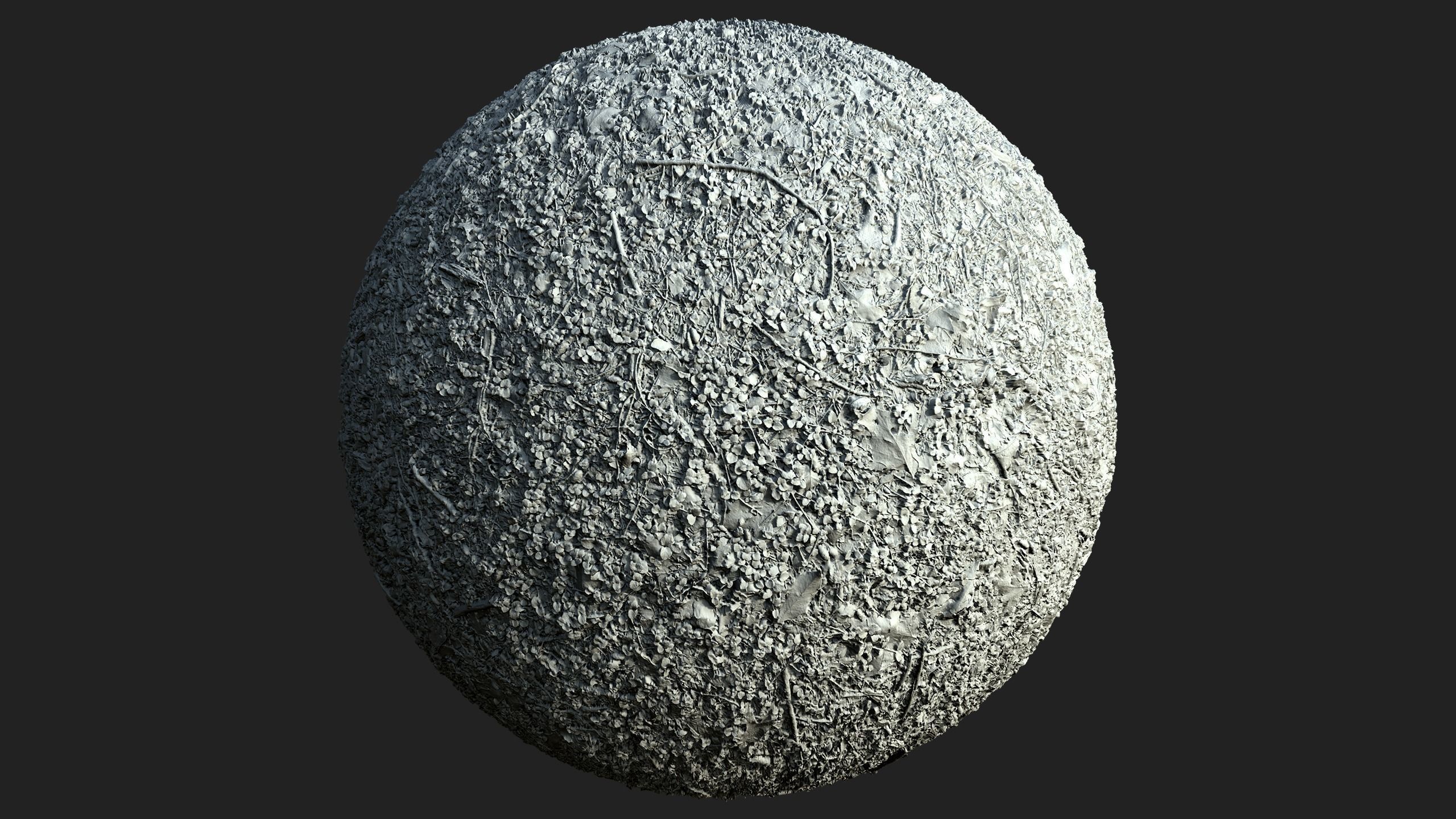 Forest Ivy Ground 01 - Free 4K Material Texture_1