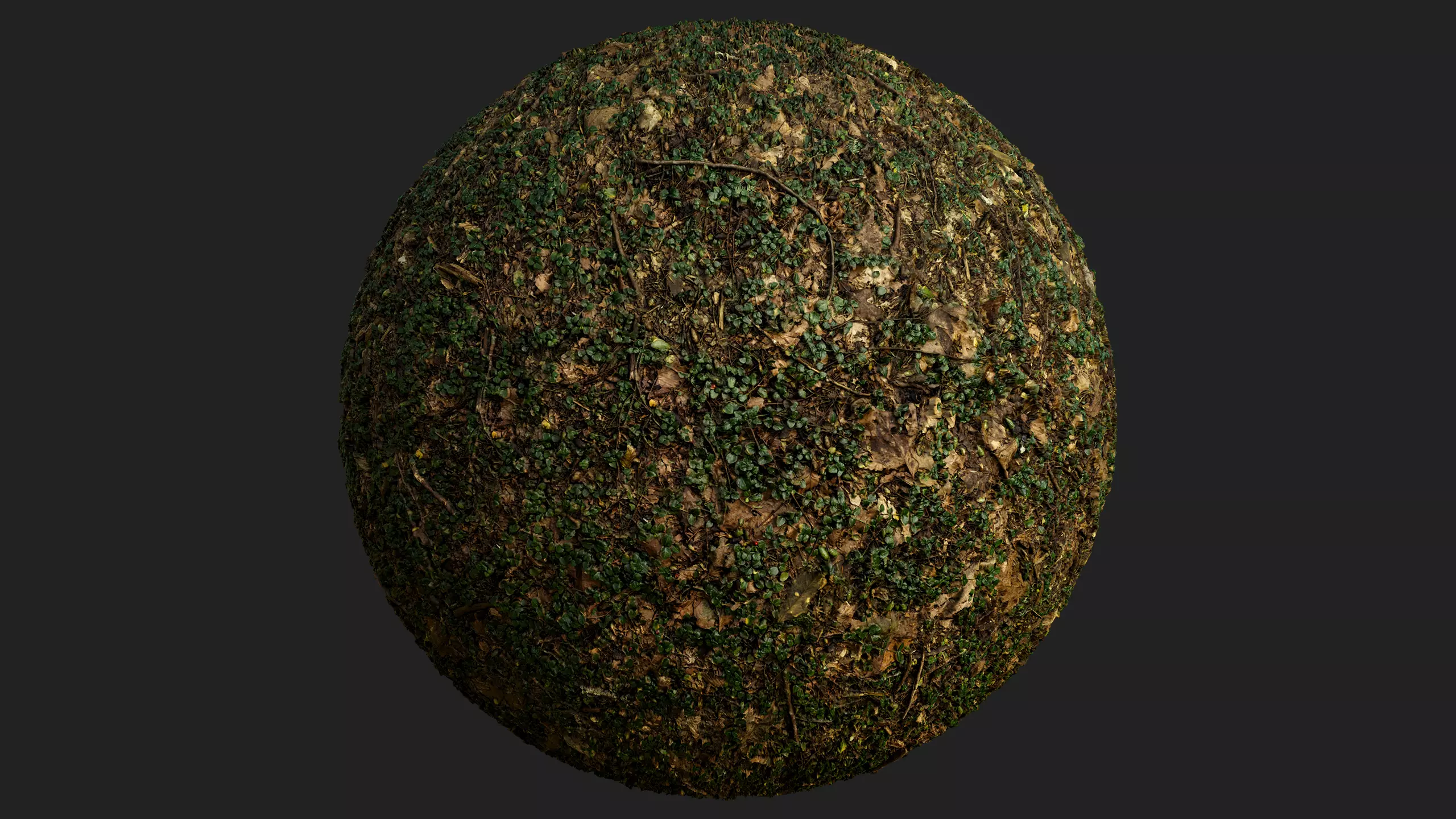 Forest Ivy Ground 01 - Free 4K Material Texture_0