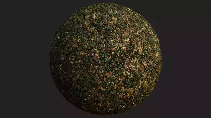 Forest Ivy Ground 01 - Free 4K Material