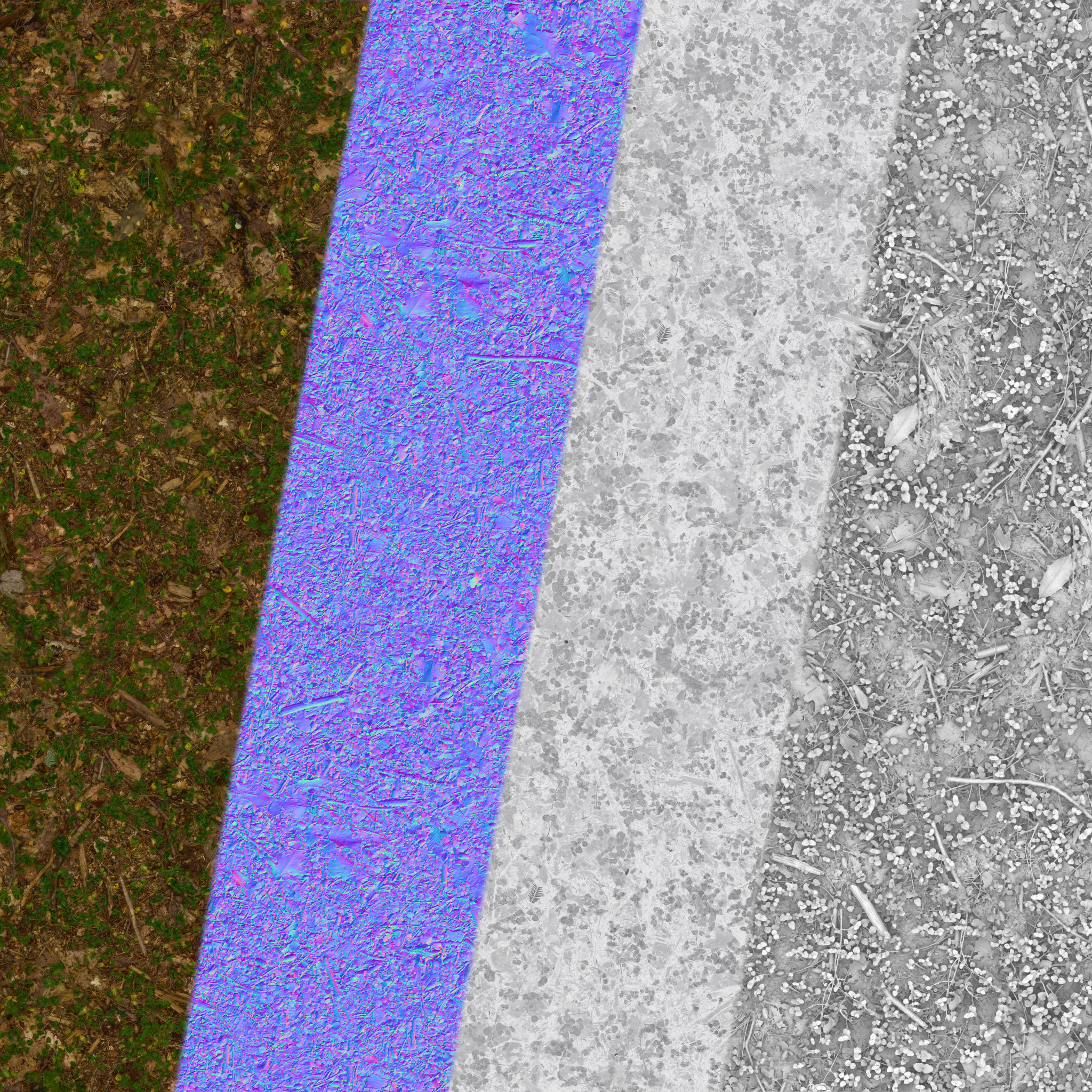 Forest Ivy Ground 01 - Free 4K Material Texture_4