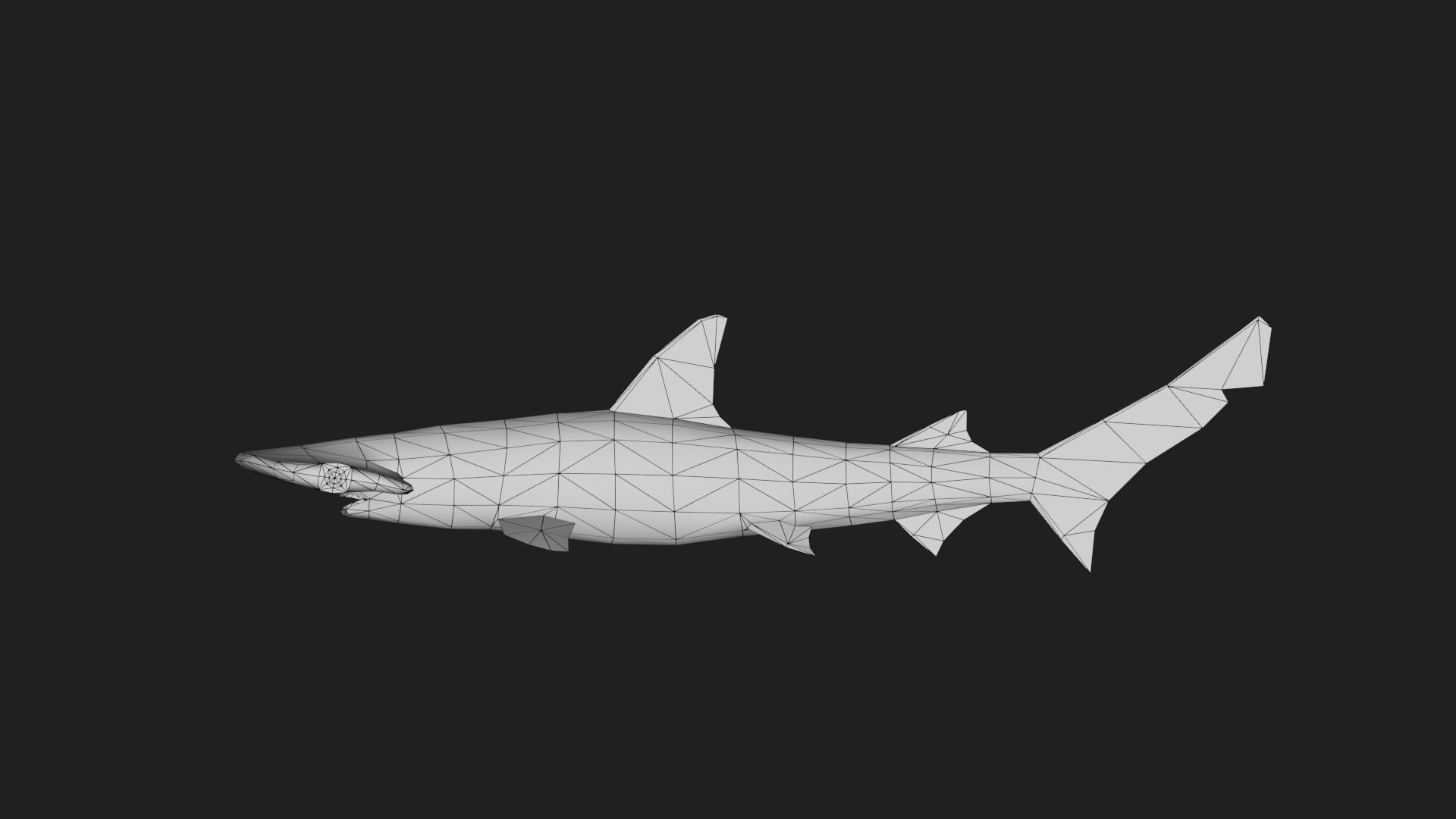 Shark Low-poly 3D model_1