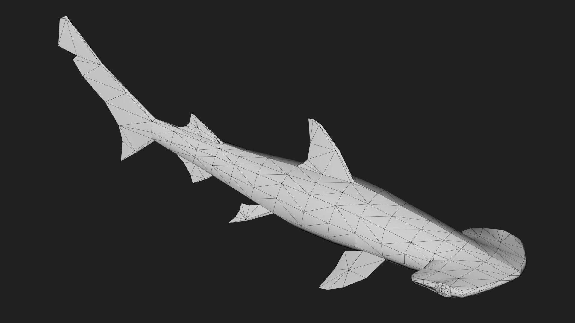 Shark Low-poly 3D model_3