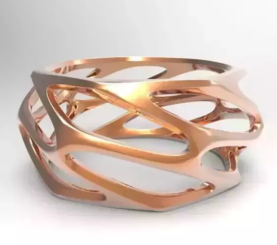 Parametric ring 